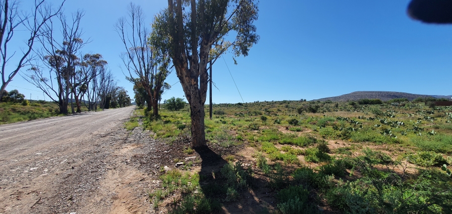 0 Bedroom Property for Sale in Willowmore Eastern Cape